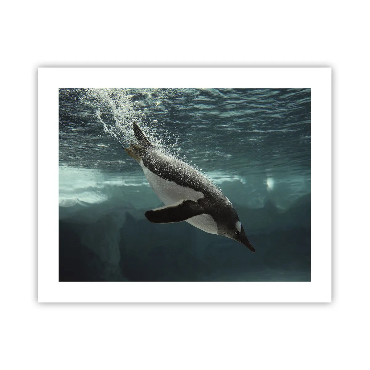 Poszter - Üdv a világomban - 50x40 cm