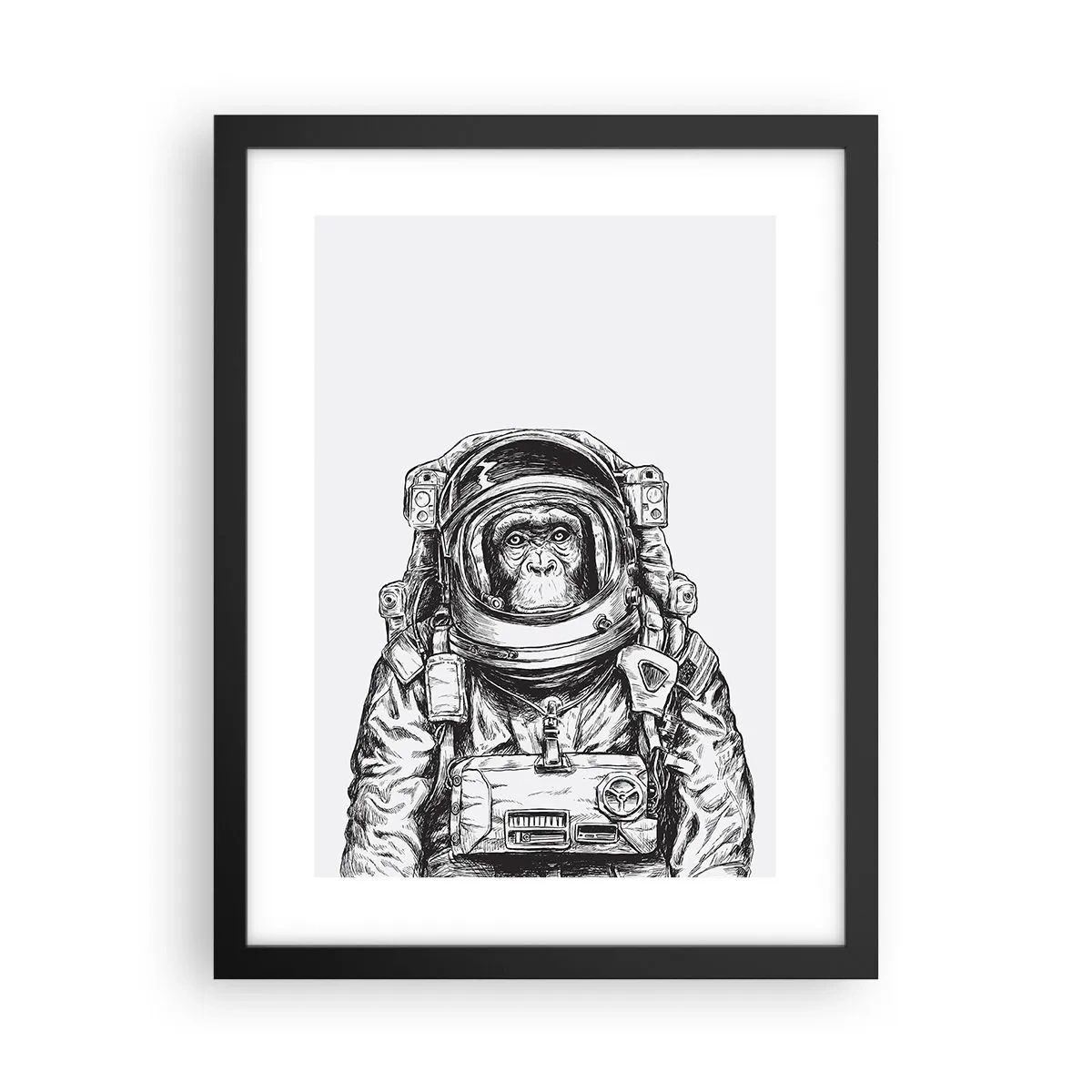 Poszter fehér keretben - Alternatív evolúció - 30x40 cm