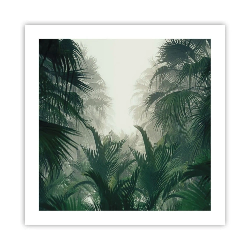 Poszter - Trópusi titok - 50x50 cm