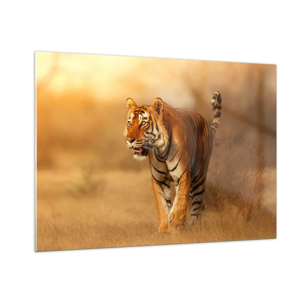 Üveg kép - A támadás előtt - 100x70 cm