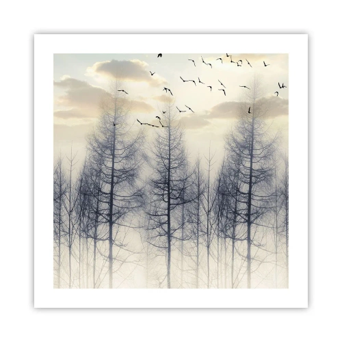 Poszter - Erdei szellemek - 50x50 cm