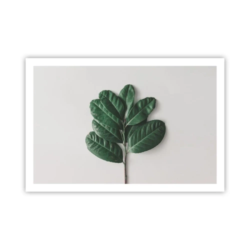 Poszter - Rajz csak a természetről - 91x61 cm