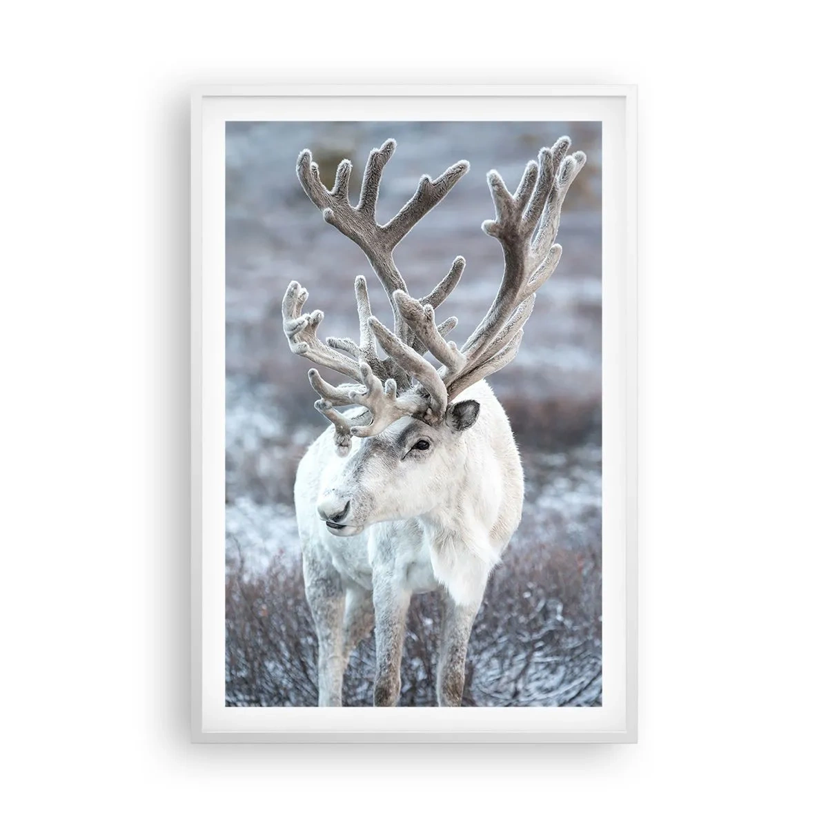 Poszter fekete keretben - Portré a napon - 61x91 cm