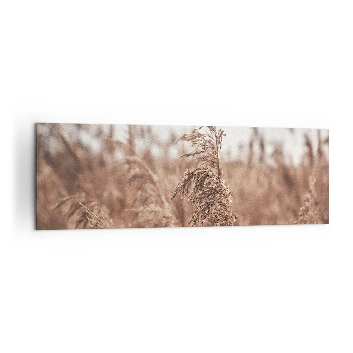 Vászonkép - Ősz van már a mezőkön - 160x50 cm