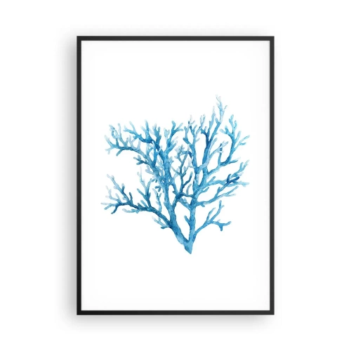 Poszter fehér keretben - Tengeri filigrán - 70x100 cm