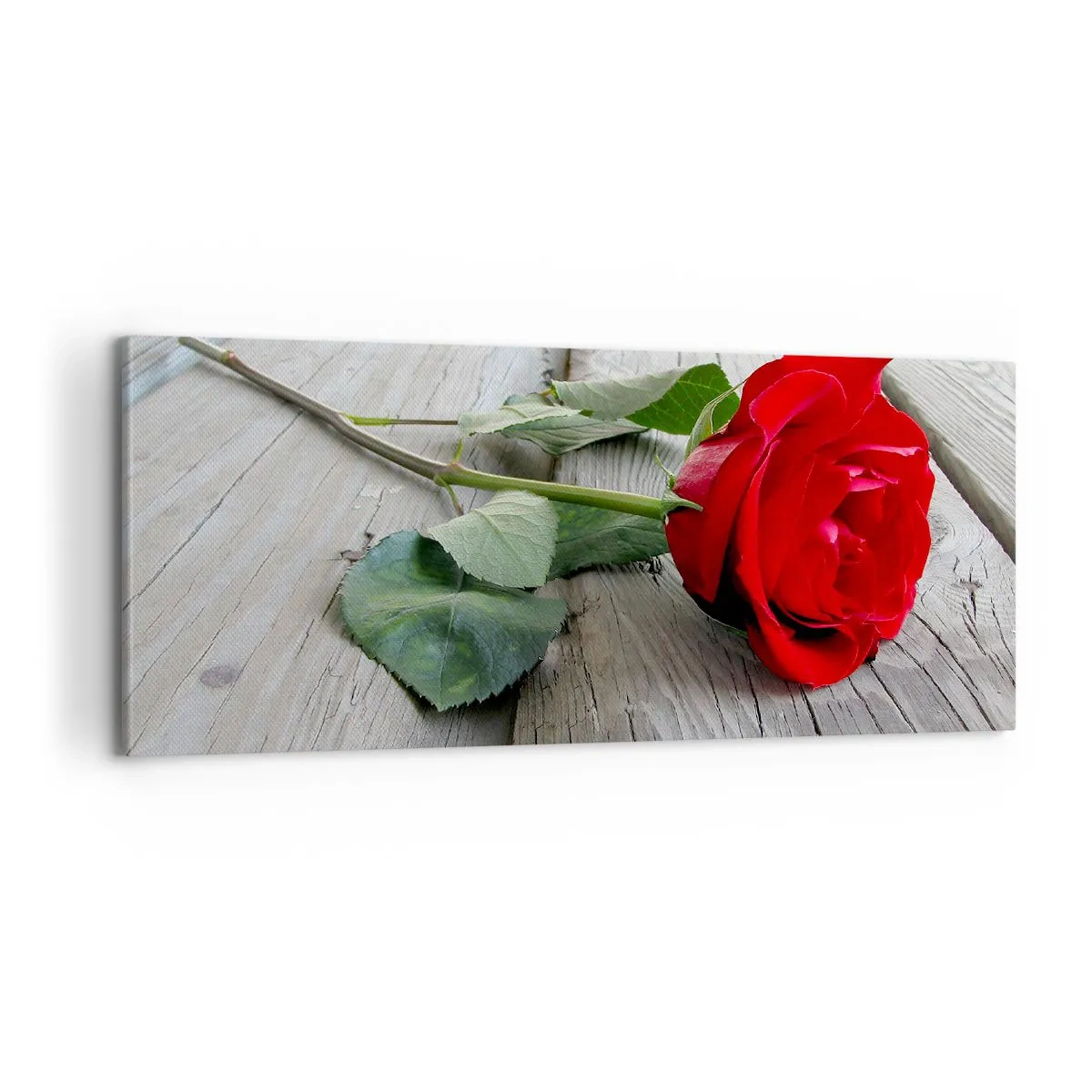 Vászonkép - Egy tanulmány Scarletben - 100x40 cm