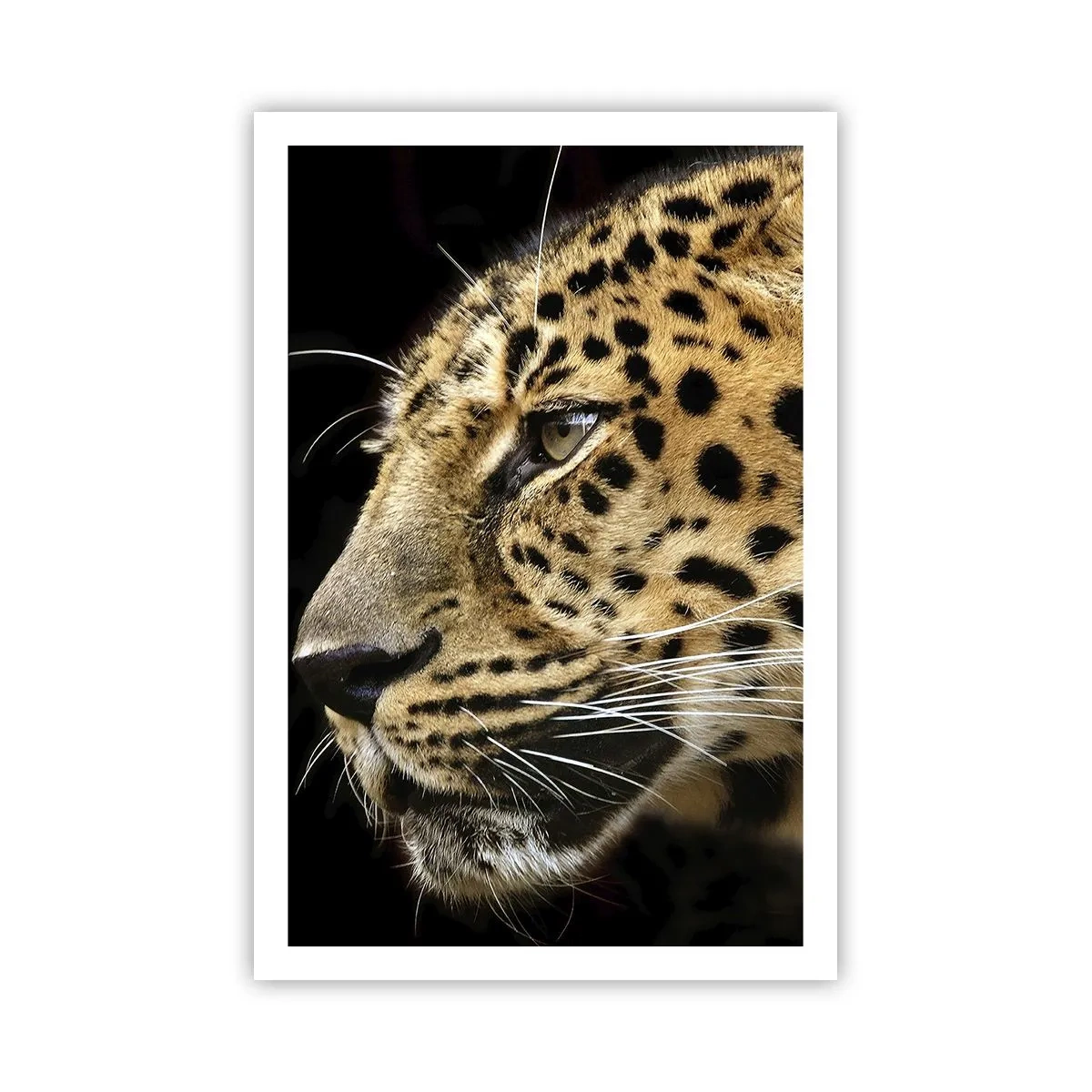 Poszter - Nyugodt, koncentrált, kész - 61x91 cm