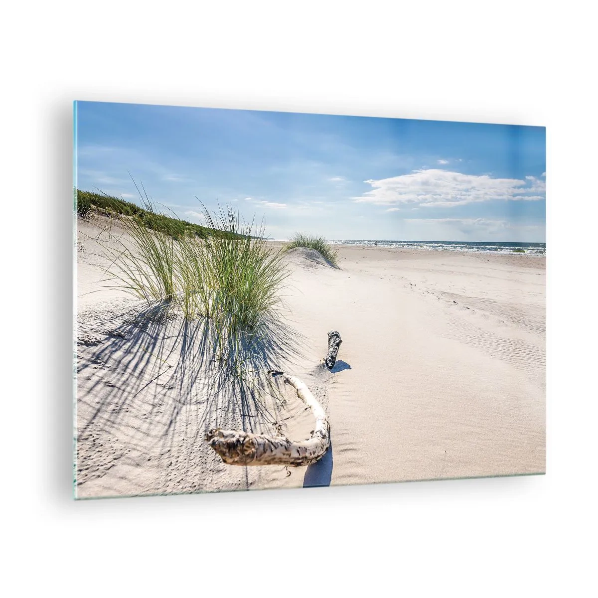 Üveg kép - Napsütötte tengerpart dűnékkel és tengerifűvel - 70x50cm - A leggyönyörűbb? A Balti - Modern fali dekoráció nappalihoz és hálószobához ARTTOR