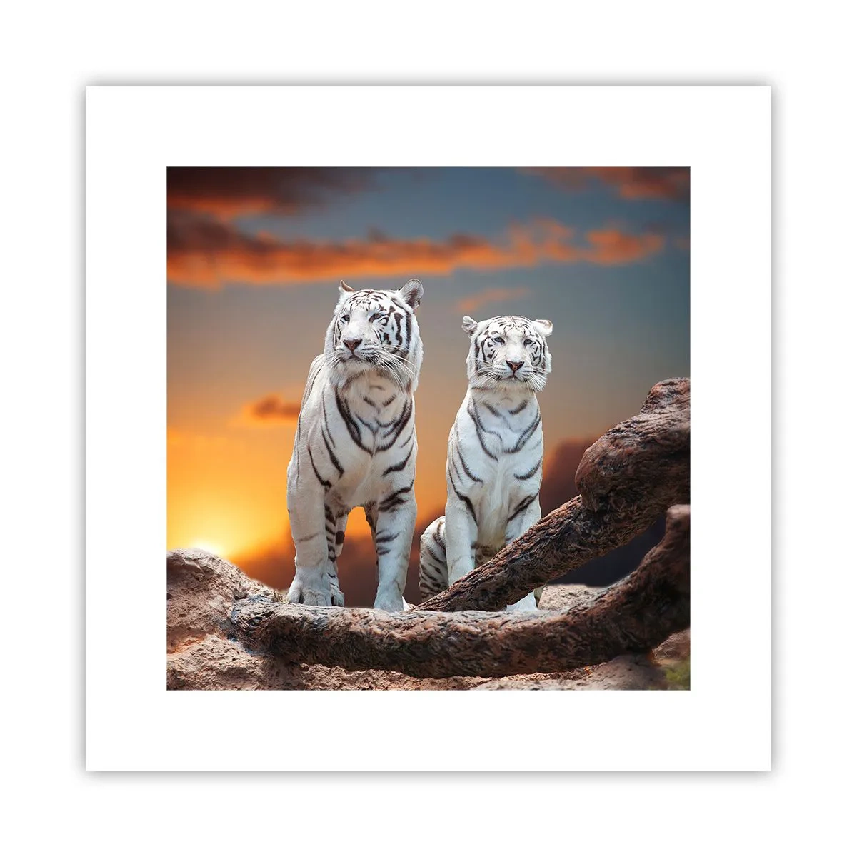 Poszter - Akárcsak Narnia - 30x30 cm