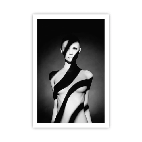 Poszter - Fényben és árnyékban - 61x91 cm