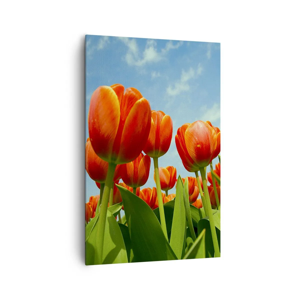 Vászonkép - A kék égen kívül semmire sincs szükségük az életükben - 80x120 cm