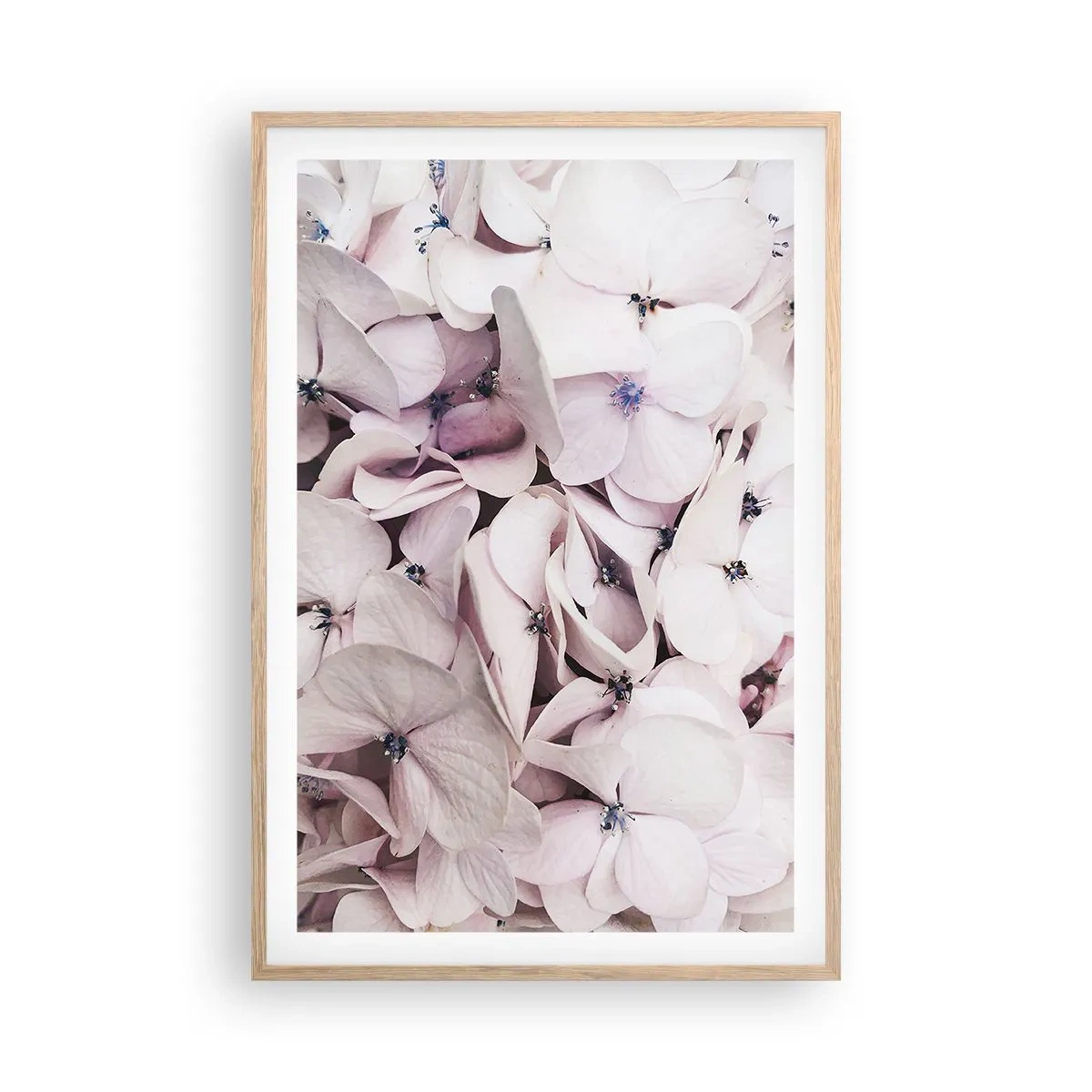 Poszter világos tölgy keretben - A virágok áradatában - 61x91 cm