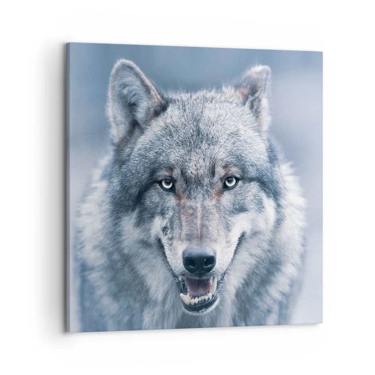 Vászonkép - Vállalod a kihívást? - 50x50 cm