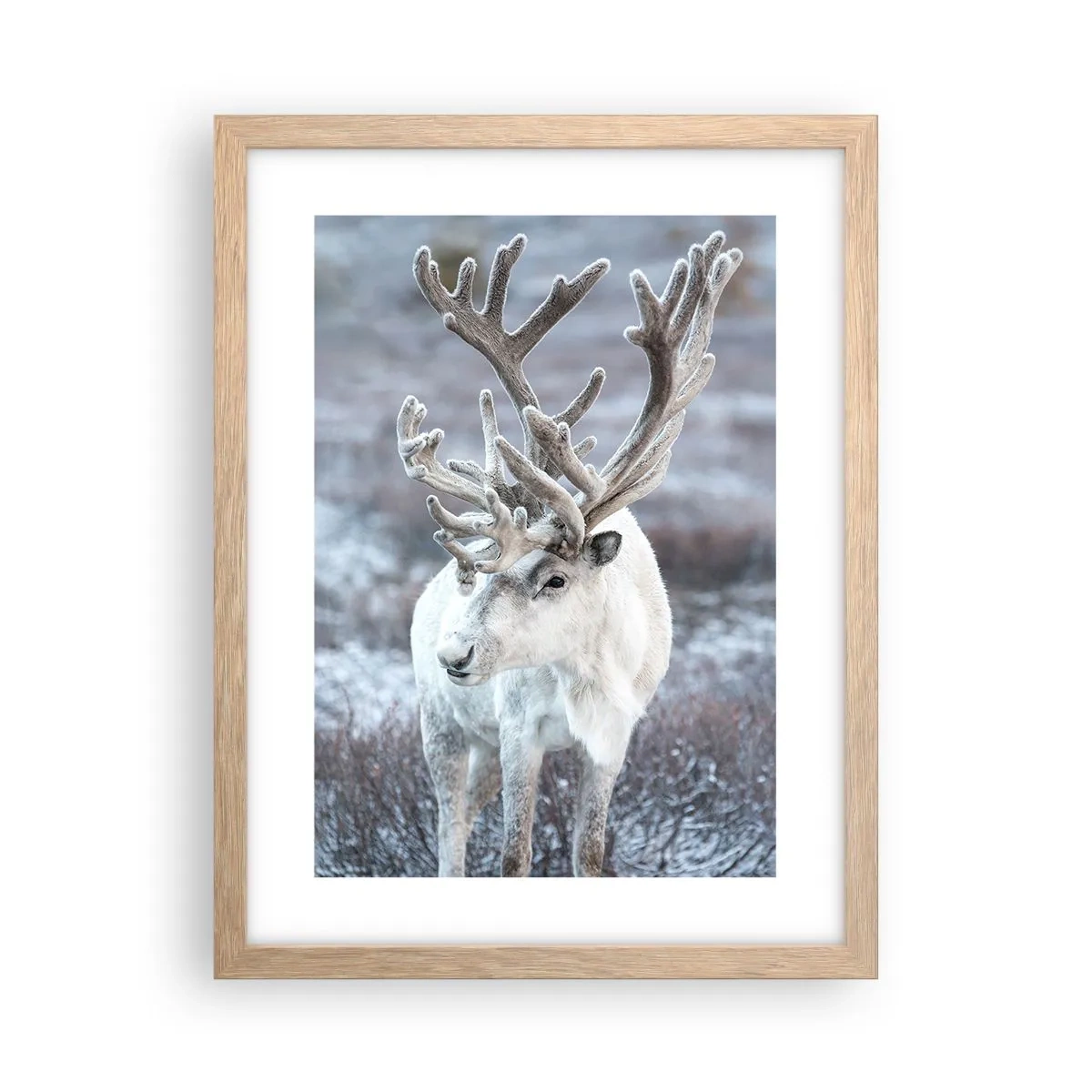 Poszter világos tölgy keretben - Portré a napon - 30x40 cm