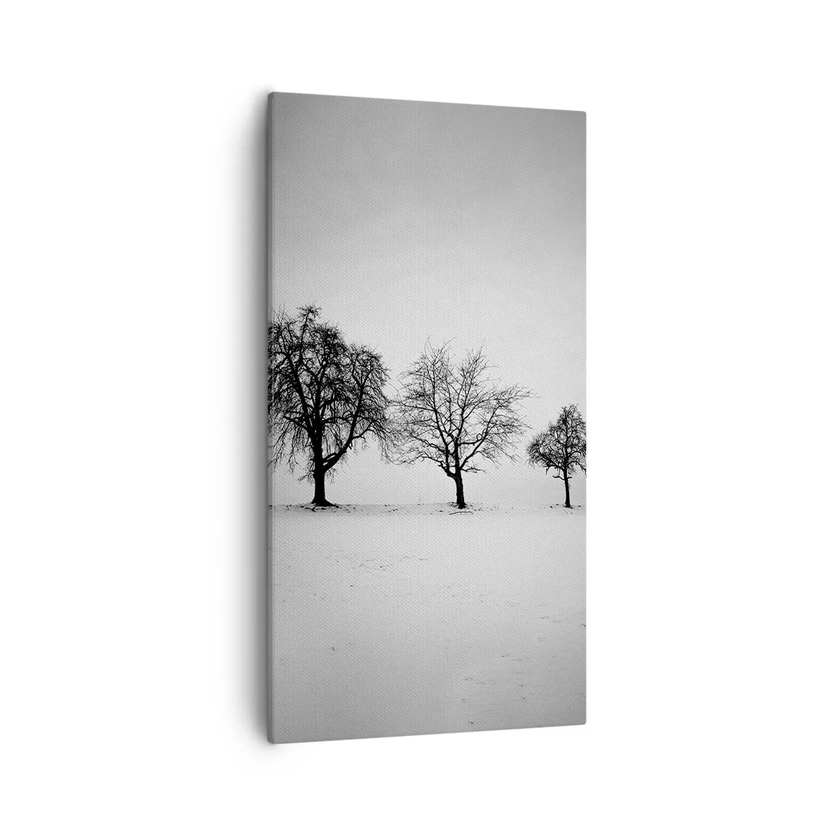 Vászonkép - Miről álmodoznak? - 55x100 cm