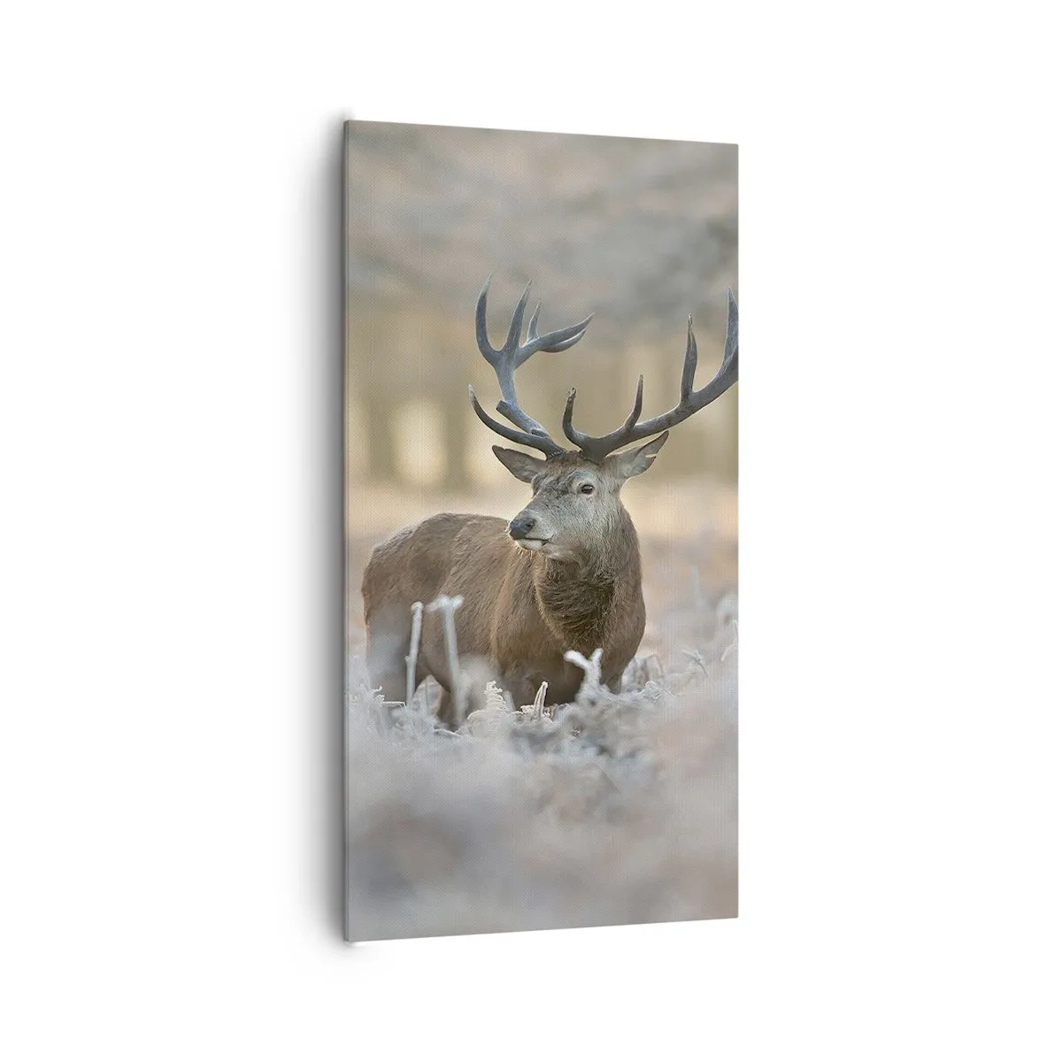 Vászonkép - Friss reggel - 65x120 cm