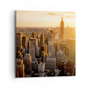 Vászonkép - Növekedni a napon - 70x70 cm