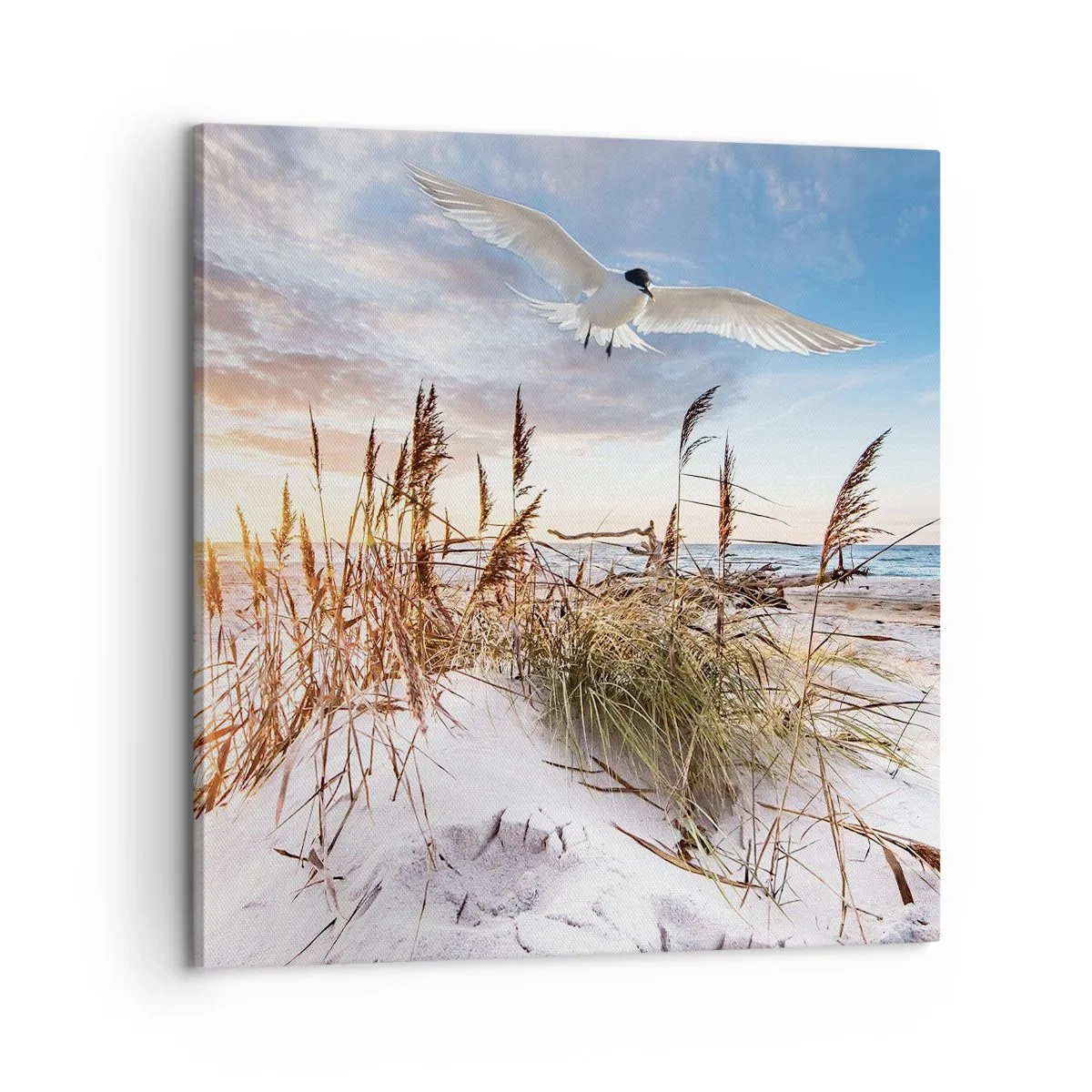 Vászonkép - A tengeri szél - 60x60 cm