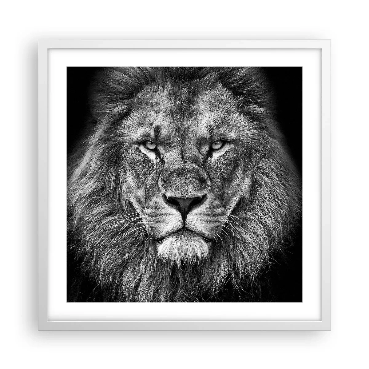 Poszter fekete keretben - Őfelségi palástban - 50x50 cm