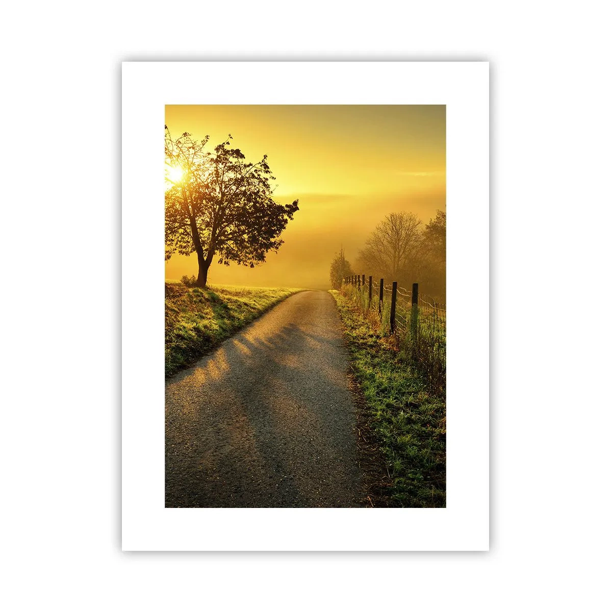 Poszter - Mézes délután - 30x40 cm