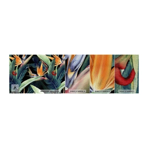 Fotótapéta Minta Premium Sand - A trópusok lángoló virágai - Strelitzia Royal, Virág, Afrika - 100x30 cm
