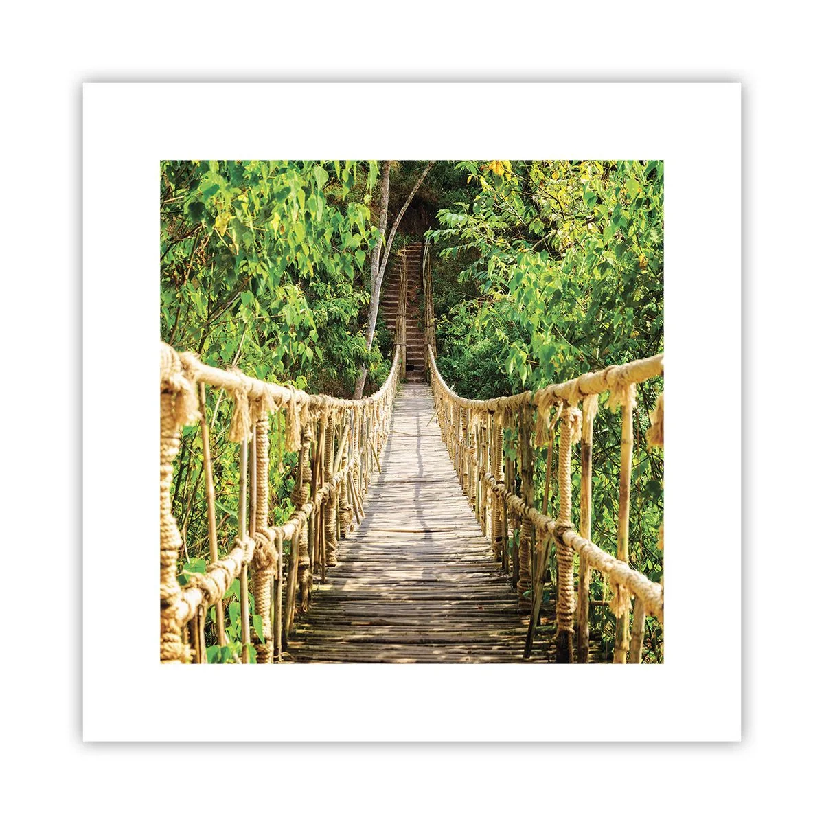 Poszter - Zöldben ragadva - 30x30 cm