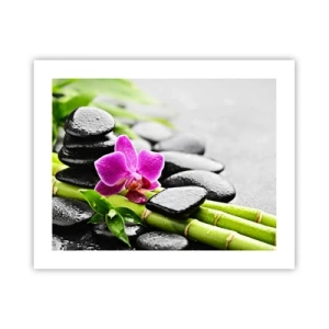 Poszter - Nyugodt egyensúlyban - 50x40 cm