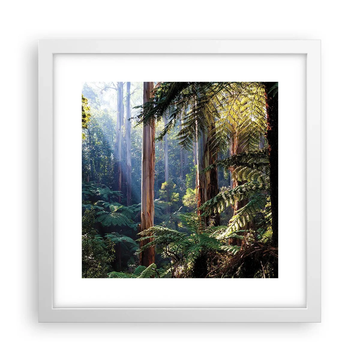 Poszter fekete keretben - Erdei mese - 30x30 cm