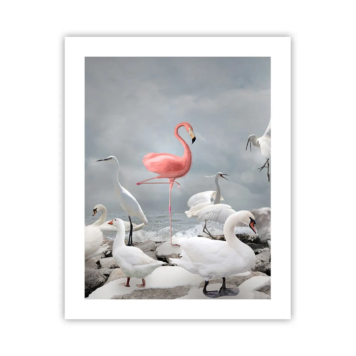 Poszter - Hogy kerültem ide? - 40x50 cm