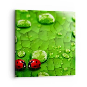 Vászonkép - Találkozás a zöldben - 30x30 cm
