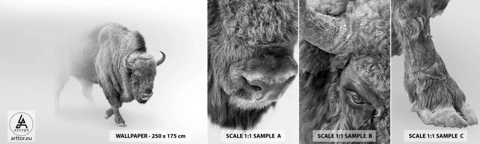 Fotótapéta Minta Öntapadós Deluxe Sticker - A préri királya - Wisent, Állatok, Bölény - 100x30 cm