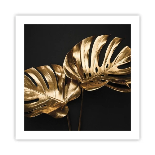 Poszter - A természet kincsei - 50x50 cm