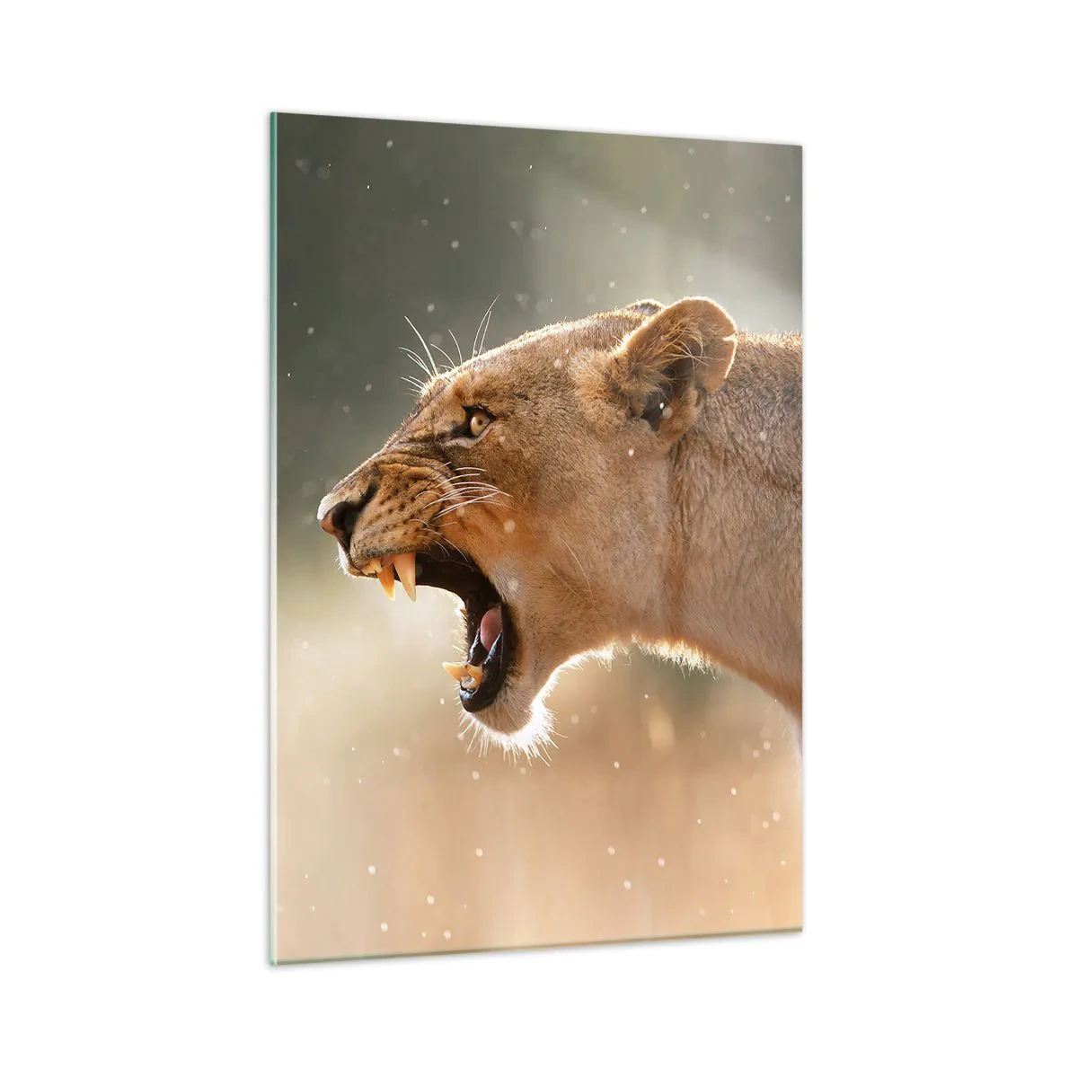 Üveg kép - Próbálj meg nem hallgatni - 50x70 cm