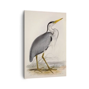 Vászonkép - Gémnek kecsessége - 70x100 cm