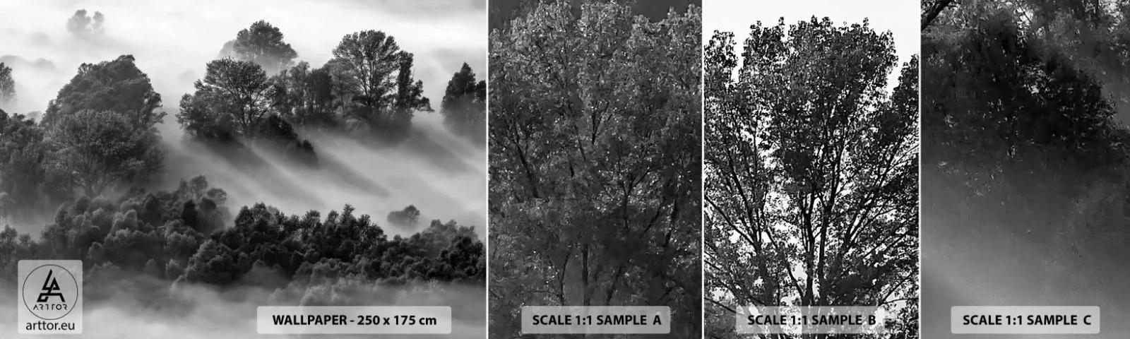 Fotótapéta Minta Öntapadós Deluxe Sticker -  Az álomból felkelő - Tájkép, Erdő, Köd - 100x30 cm