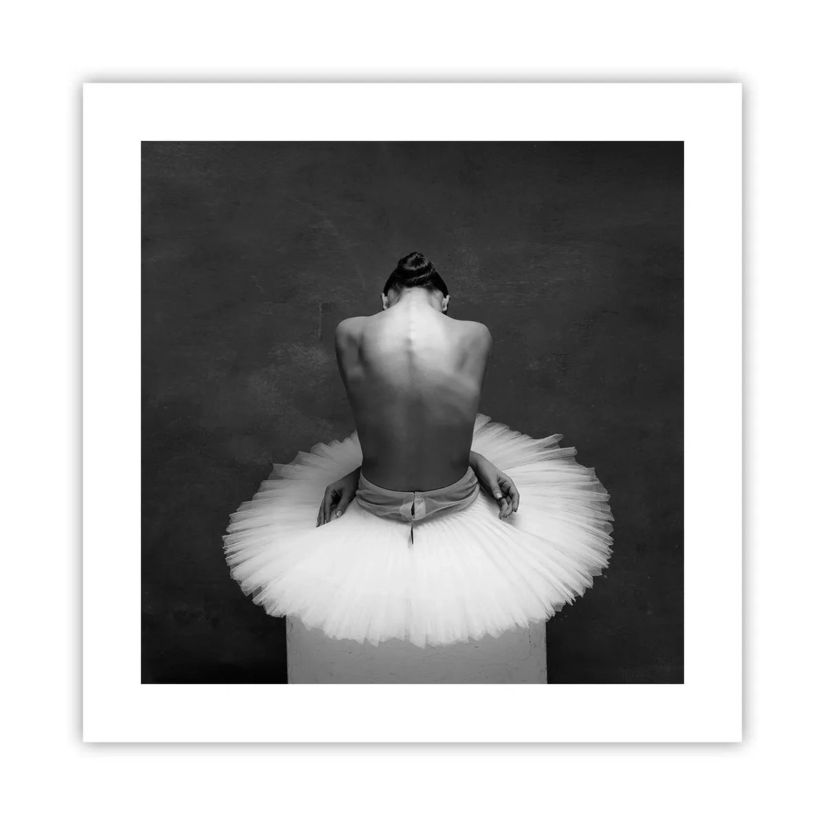 Poszter - Épp virágzik - 40x40 cm