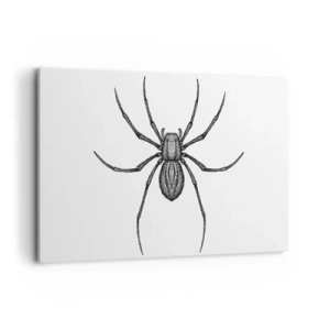 Vászonkép - Zavaró precizitás - 100x70 cm