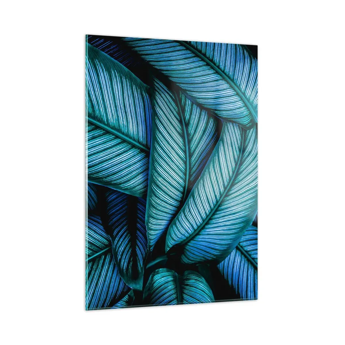 Üveg kép - Életvonalak - 50x70 cm