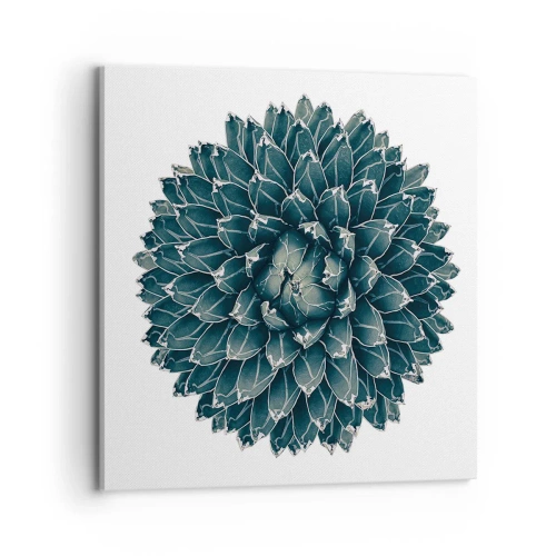 Vászonkép - A sivatag csillaga - 70x70 cm