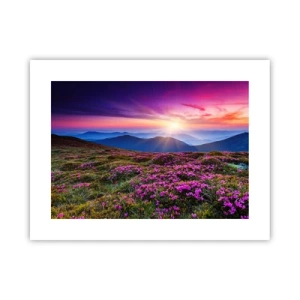 Poszter - A gyógynövények friss fürtjei illatoztak a mezőkről - 40x30 cm