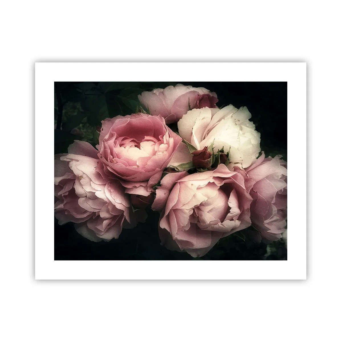 Poszter - Belle epoque varázs - 50x40 cm