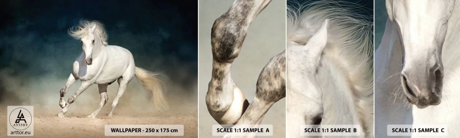 Fotótapéta Minta Öntapadós Deluxe Sticker - A szabadság tiszta állapotban - Ló, Állat, fehér - 100x30 cm