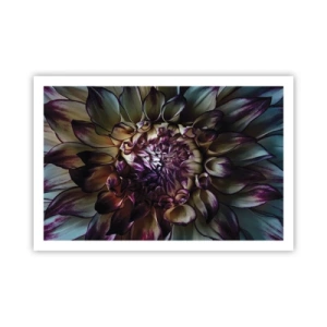 Poszter - A fiatalság kivirágzása - 91x61 cm