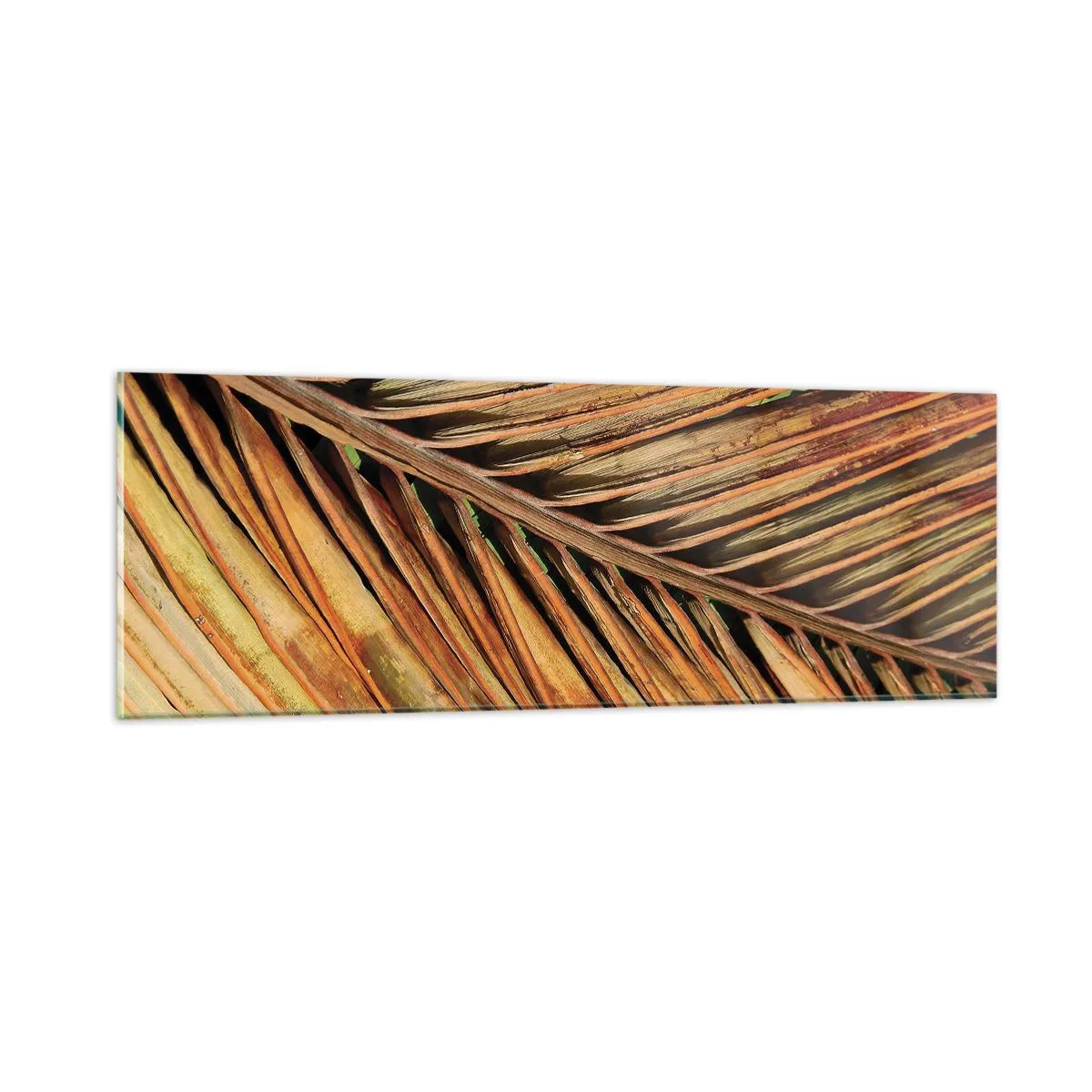 Üveg kép - Kókusz aranya - 90x30 cm