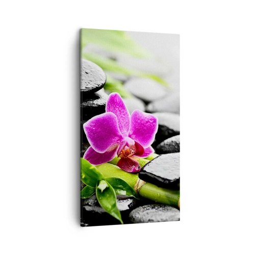 Vászonkép - Nyugodt egyensúlyban - 45x80 cm