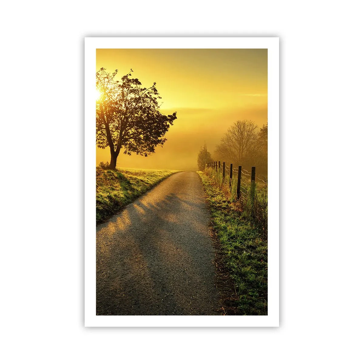 Poszter - Mézes délután - 61x91 cm