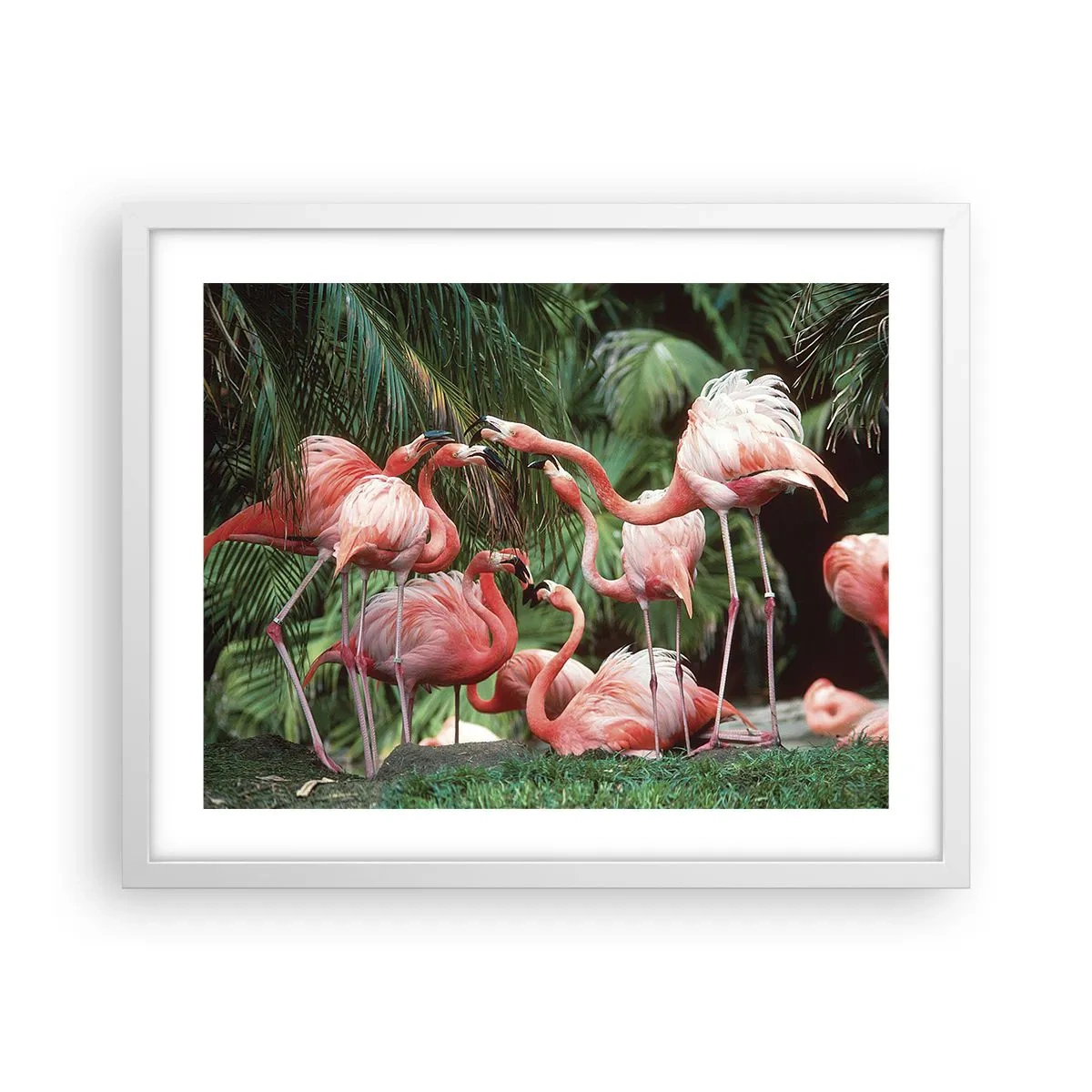 Poszter fekete keretben - Délutáni pletyka - 50x40 cm