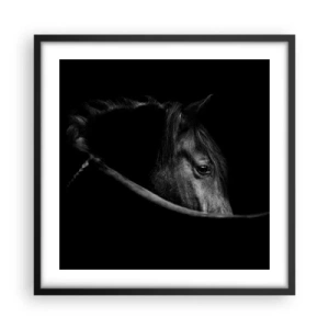 Poszter fehér keretben - Fekete herceg - 50x50 cm