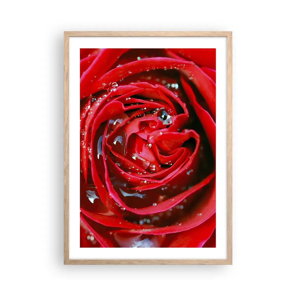 Poszter világos tölgy keretben - A harmatcseppekben - 50x70 cm