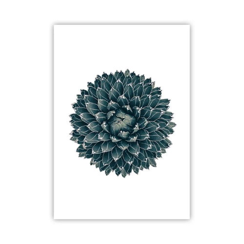 Poszter - A sivatag csillaga - 70x100 cm